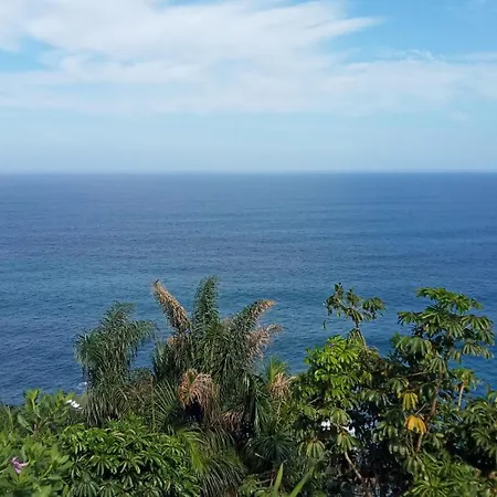 Atlantic Paradise *